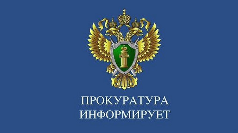 Бродячие собаки: что делать и куда обращаться?.