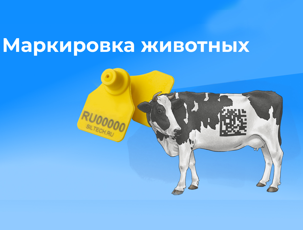 С 1 марта 2024 года в связи со вступлением в силу Постановления Правительства РФ от 05.04.2023 № 550 закреплен порядок обязательного маркирования и учета сельскохозяйственных животных и домашней птицы.