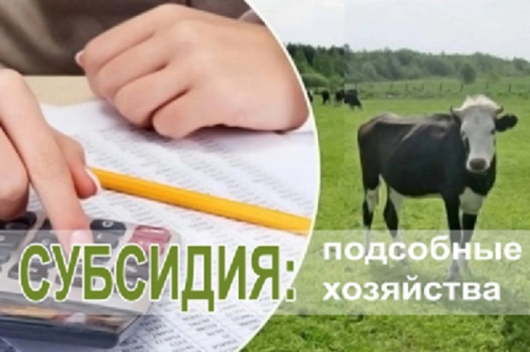 Информация для граждан, ведущих личное подсобное хозяйство на 2024 год. Информация для граждан, ведущих личное подсобное хозяйство на 2024 год.